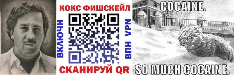 где можно купить наркотик  Павловск  мориарти Telegram  Кокаин FishScale 
