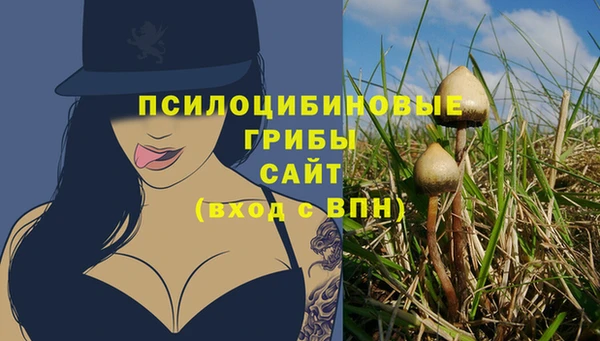ГАЛЛЮЦИНОГЕННЫЕ ГРИБЫ Ростов