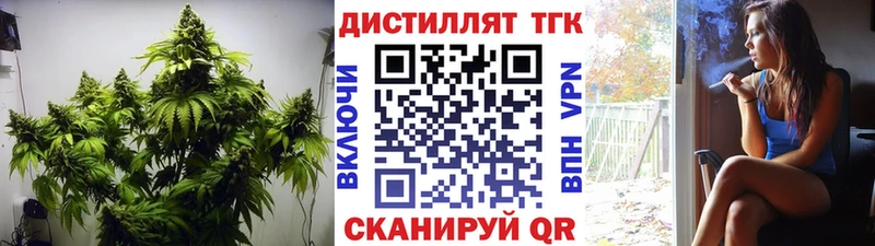 ТГК THC oil  сколько стоит  Павловск 