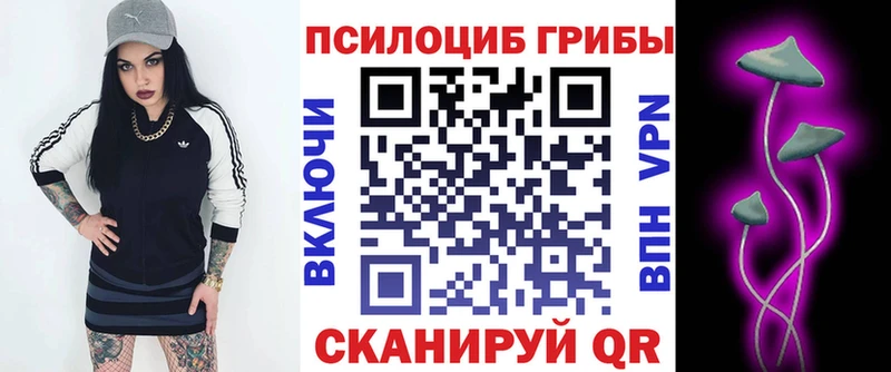 Галлюциногенные грибы Cubensis  Павловск 